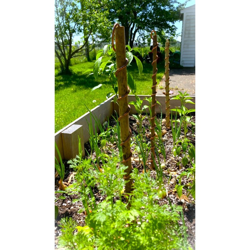 CedarMountainWorks 5-Pack Copper Bamboo Electroculture Coils – Garden Antennas for