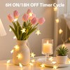 Rechargeable Star String Lights Battery Operated with 8 Modes, 17FT