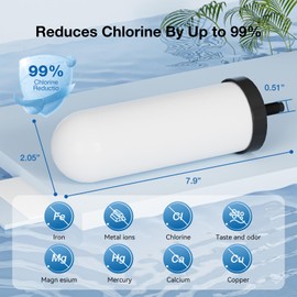 JOYPUR PF-4 Ceramic Purification Elements, Replacement Filters for ProOne® and Berkey® Filters, ProOne® Big+ or Berkey® Big Countertop Gravity Water Filter System and Purewell System (2 Pack)