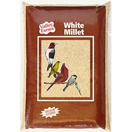 Valley Farms White Millet - Bird Watcher Secret Wild Bird Food (20LB)