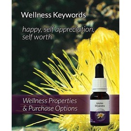 Living Essences Urchin Dryandra Flower Essence 15 ml