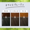 Liese Bubble Color Ice Bruges Hair Color for Black Hair