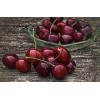 Home-Growth Dark Red Bing Cherry, Prunus Avium - 20 seeds