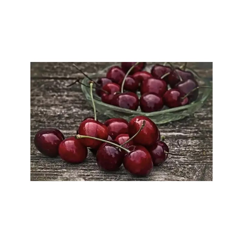 Home-Growth Dark Red Bing Cherry, Prunus Avium - 20 seeds