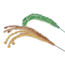 CattyMan Cat Play Japanese Grass Set of 2