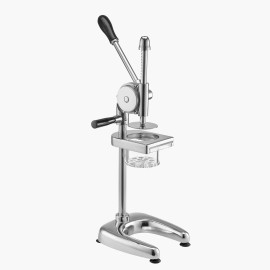 Stainless Steel Manual French Fries Mashed Potato Extruder Vegetable Squeezer Kitchen Tool Hand Wash OnlyNumber of accessories: 0
