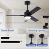 LANMEL 42'' Black Ceiling Fans with Lights and Remote, 6