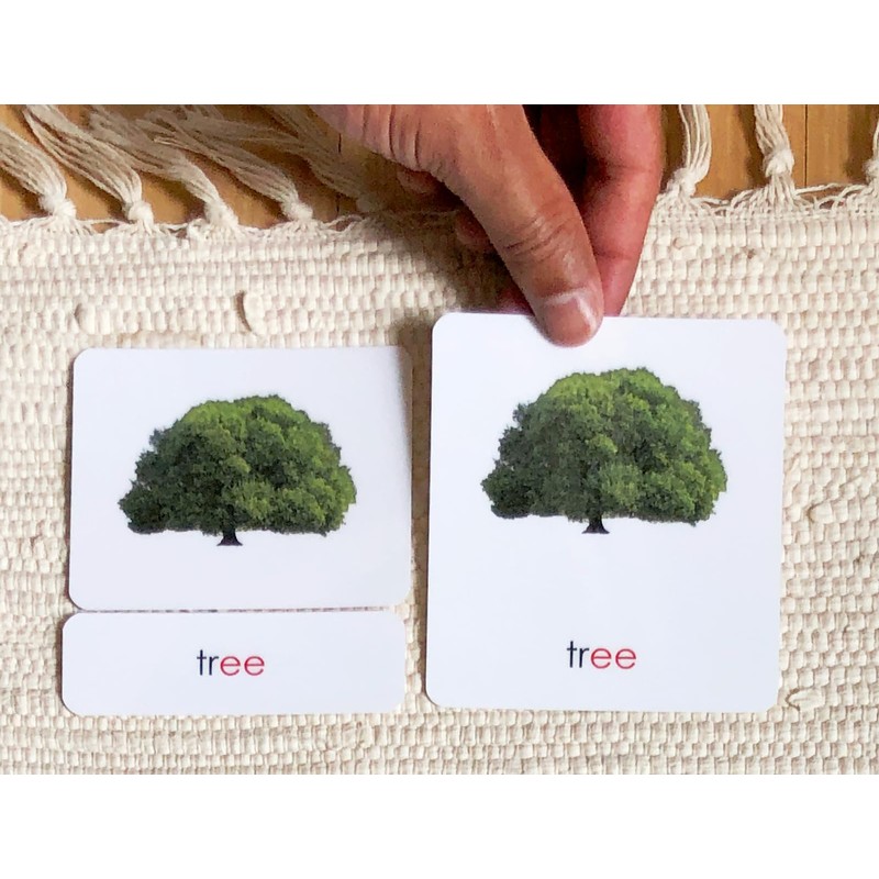 Phonetic Reading Cards Level 3, Group 1 (11 Packets)