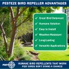 PESTEZE 12 Inches Bird Scare Silver Shiny Reflective Rods for