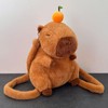 usmikeys Cute Stuffed Animals for Girls, Kawaii Plushies for Boys,Capybara