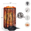 Shineled Himalayan Salt Lamp, Salt Rock Lamp Natural Night Light