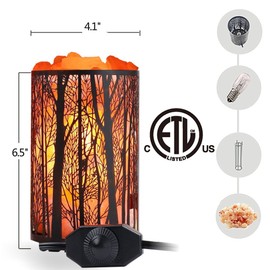 Shineled Himalayan Salt Lamp, Salt Rock Lamp Natural Night Light in Forest Design Metal Basket with Dimmer Switch (4.1 x 6.5 4.4-5lbs), 25Watt Bulbs & ETL Cord 1 Pack