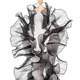 OIIKI Ruffle Pleated Organza Lace Trims 5 Yards, Black Organza Chiffon Ruffled Fabric Trim, Tulle Ruffle Lace Border for Craft Sewing Dress Bag Decoration Applique Trimming