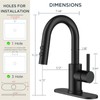 FORIOUS Matte Black Bathroom Faucet with Pull Down Sprayer, Single