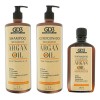 Kit Shampoo Acondicionador Y Aceite De Argan Gd3 Reparacion