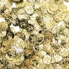 2000Pcs Belly Dance Coins Exquisite Sequins Pendants Clothing Accessories for