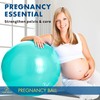 ProBody Pilates Birthing Ball - Pregnancy Ball Exercise for Labor