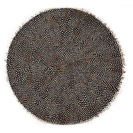 Two's Company Set of 6 Guinea Fowl Feather Placemats