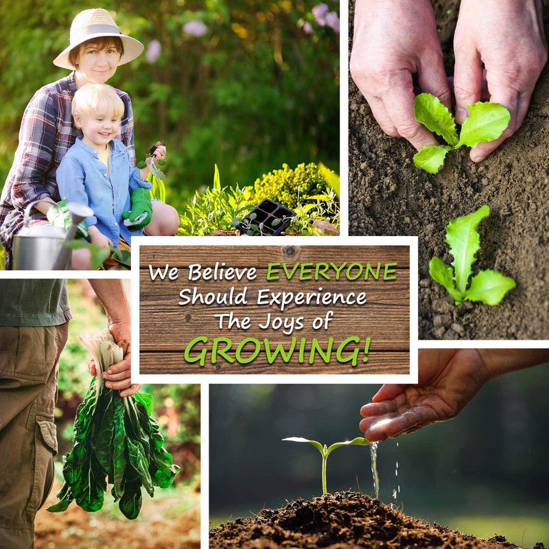 Pepper Seeds - Sweet - Himo Togarashi - 500 Mg