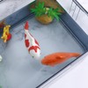 Toddmomy Ceramic Floating Fish, 3pcs Aquarium Floating Goldfish Frog Koi