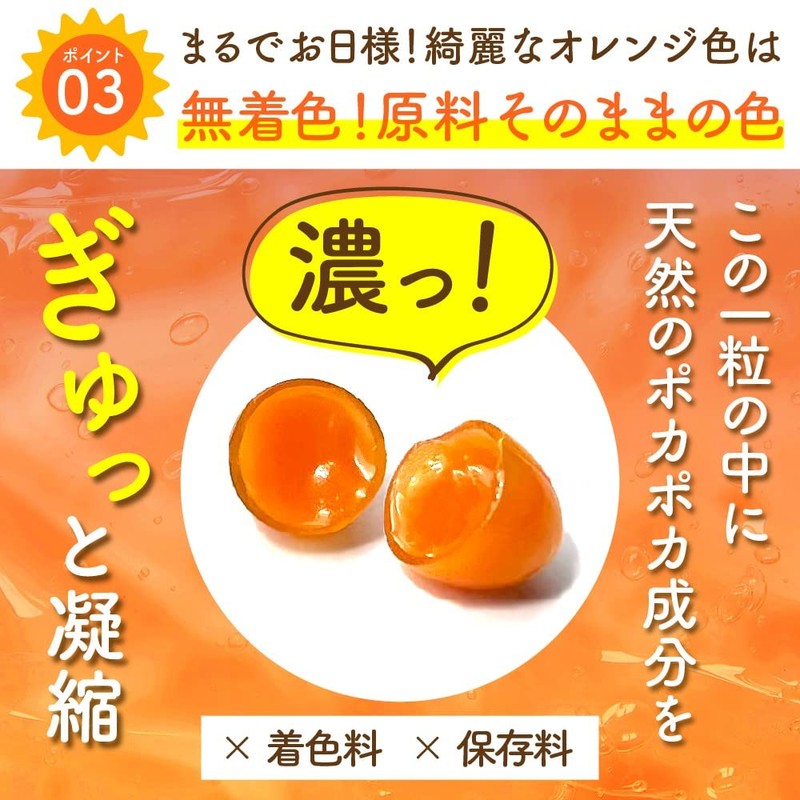 温活 サプリ ひだまりショウガ ぽかぽか成分 配合 ショウガオール レッドチリエキス ヒハツ抽出成分 (約６ヶ月分（360粒）)