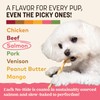 Earth Animal No-Hide Stix Salmon Recipe Natural Rawhide Alternative Dog