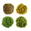 War World Scenics Static Grass Fiber Starter Set 1 -