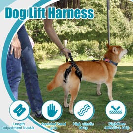 Dog Lift Harness, Rear Support Harness, Adjustable Pet Dog Support Harness, Assist Pet Walking, Pet Rear Lifting Harness Night Reflective for Pet Mobility and Older Dogs (S)