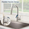HOTIS Kitchen Sink Faucet Brushed Nickel with Pull Down Sprayer,
