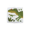 Hello Chums Wash Cloth - Dinosaur Magic Flannel, Face Cloths