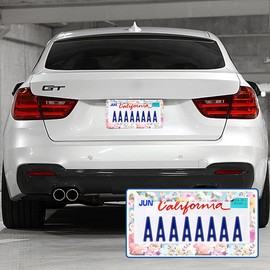 Swono Floral Pink License Plate Frame Watercolor Flower Pattern Blue Funny License Plate Cover Aluminum Metal License Plate Holder Frame for Women Men Auto Decoration for US Car/Truck