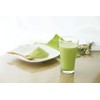 FINE JAPAN Yuto Arisa Seriously Made Protein Matcha Flavor 351g