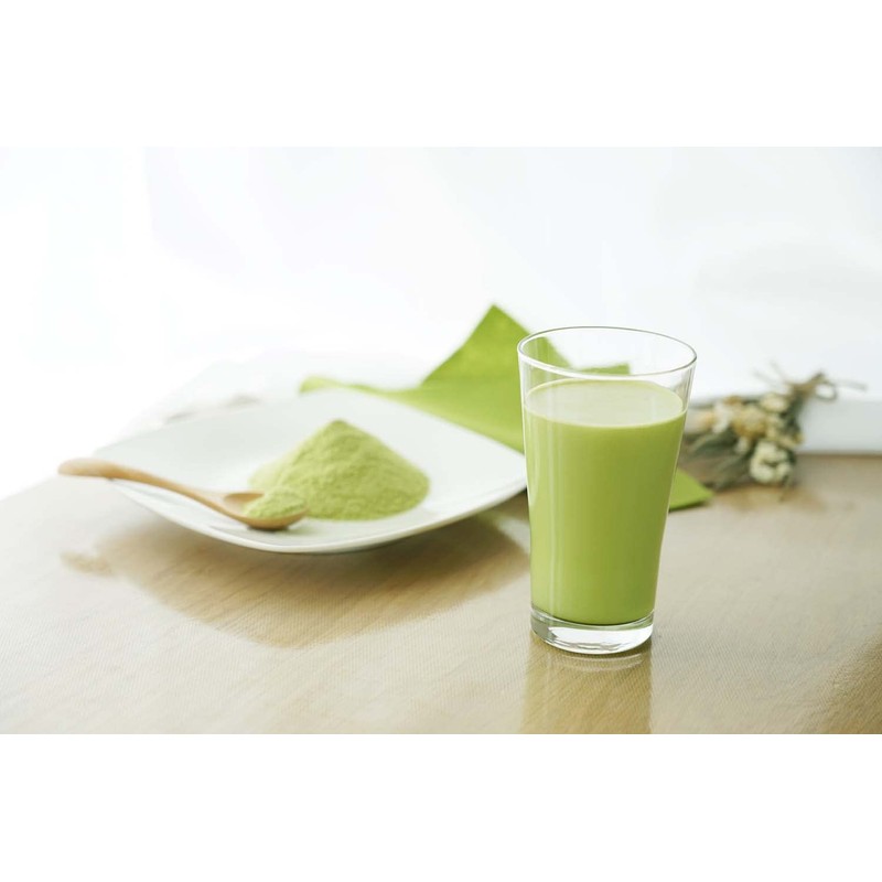 FINE JAPAN Yuto Arisa Seriously Made Protein Matcha Flavor 351g