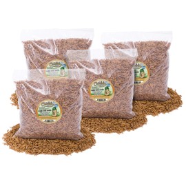 8lb Dried Black Soldier Fly Larvae Non-GMO Dried Insects for Chickens – High Protein Chicken Feed Meal Worms for Wild Birds & Chicken Treats for Laying Hens