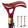 ispuoocti Smart Alarm Walking Cane for Men & Women, Telescopic
