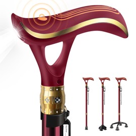 ispuoocti Smart Alarm Walking Cane for Men & Women, Telescopic and Adjustable Walking Sticks for Seniors, USB Direct Charge, with LED Light, One Cane for Three Purposes, Light and Stable (Red)