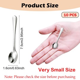 10 PCS Condiment Spoons Stainless Steel Mini Spoons 3 Inches Cute Small Spoons Silver Tiny Spoon for Powder Spices Jars Salt Sugar Pepper Desserts Honey