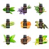 Ätherische Öle Set von TOP9, aromatisches Aromatherapie Duftöl Geschenkset mit