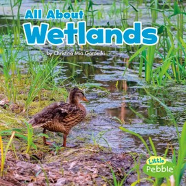 All About Wetlands (Habitats) (Little Pebble: Habitats)