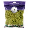 SuperMoss (26960) Spanish Moss Preserved, Chartreuse, 4oz