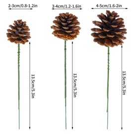30 Pieces Christmas Natural Pine Cones Rustic Natural Pine Cone for Craft 3 Sizes Natural Pinecones with Wired Pick Pinecones Ornaments for Christmas Tree Decoration Thanksgiving Fall Home Decor