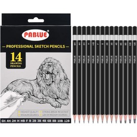 UNJOO Set of 14 Drawing Sketch Painting Art Pencils 6H 4H 2H H HB F B 2B 3B 4B 6B 8B 10B 12B,Perfect for Painting,Sketching,Drawing,Beginner and Professional Artist Pencils