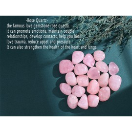 XIANNVXI Rose Quartz Crystal Stones Natural Irregular Polished Tumbled Stones Bulk Crystals Gemstones Vase Filler Decorative Stones Reiki Palm Energy Stones 100 Gram