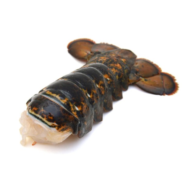 Frozen Lobster Tail 150gr x 2