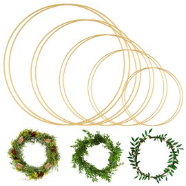 10PCS Metal Rings for Crafts,Metal Rings for Making Wedding Wreaths Christmas Decorations and DIY Dreamcatcher Wall Crafts.5 Sizes(4" x2,6 x2,8 x2,10 x2,12 x2) (Gold)
