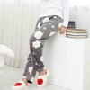 Microfiber Sleep Pants Star Yang Gray
