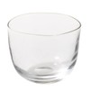 Fires glassmaking Brume Raise Al Glass – 01/GN