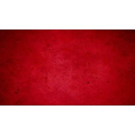 Concrete Resurrection Fast Drying Concrete Stain-Professi