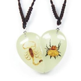 The Real Insect Scorpion & Spiny Spider Neckace