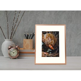 Frametory, 8x10 Metal Picture Frame with Mat for 5x7 Picture & Real Glass, Aluminum Photo Frame Collection (Rose Gold, 8 Pack)